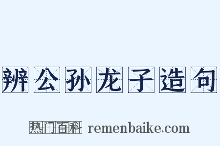 辨公孙龙子造句是什么意思的图片